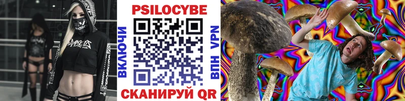наркошоп  Зея  Псилоцибиновые грибы Psilocybe 